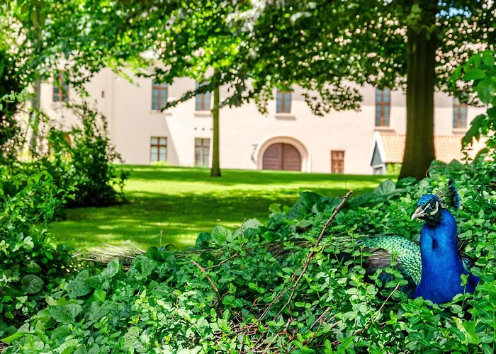 Διαμέρισμα Hannelore Jever